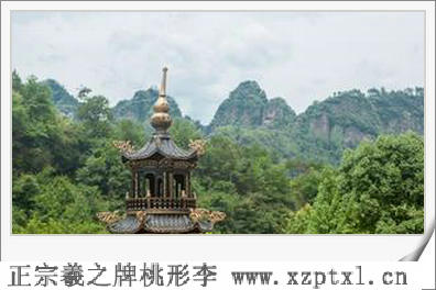 水果_嵊州桃形李