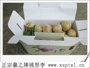 水果_嵊州桃形李8