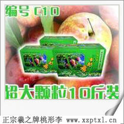 精品珍果——嵊州羲之桃形李栽培方法