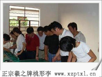 中颗粒桃形李图片7