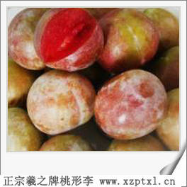 优质水果——济渡村桃形李高产要求